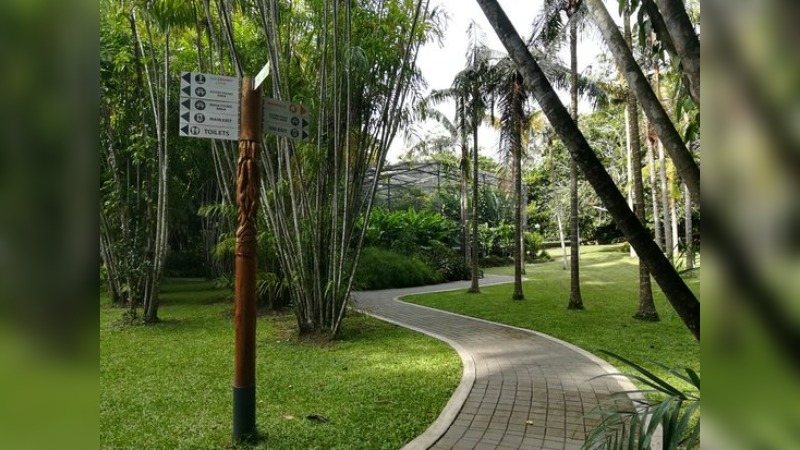 MONI PLUS CHRISTMAS IN THE PARK