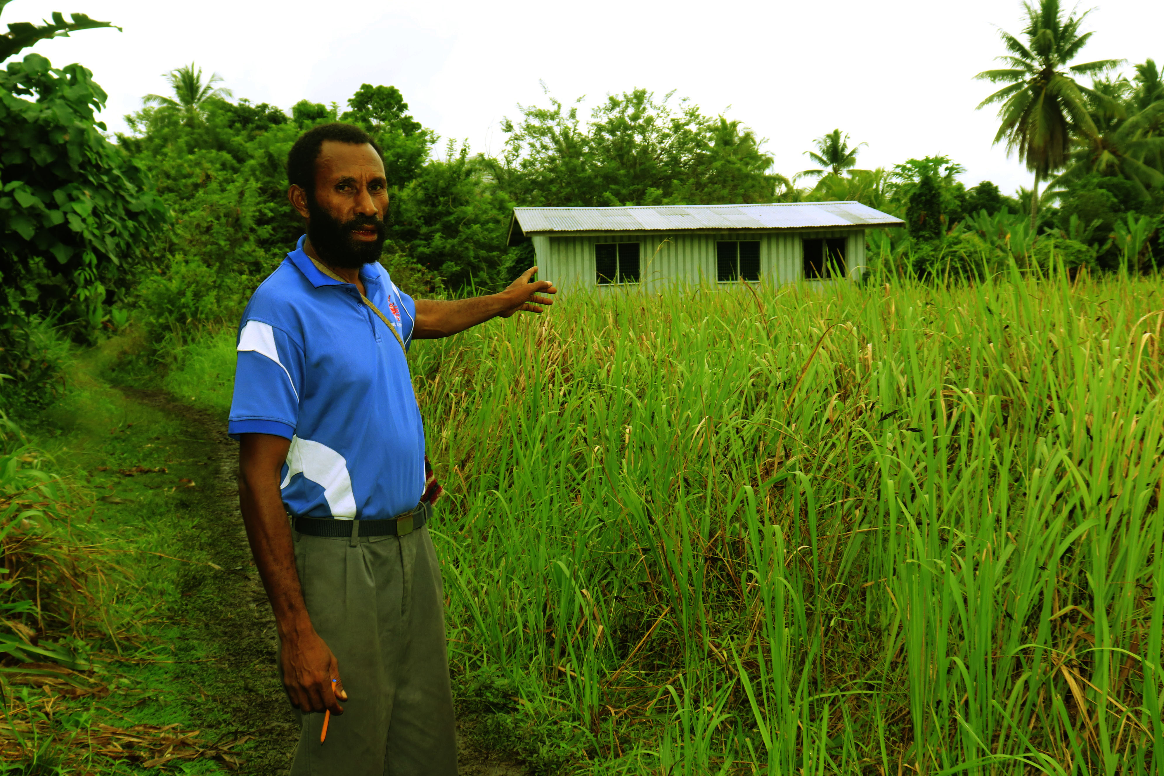 K5000 WARD DEVELOPMENT GRANT TO SUPPORT RURAL EMPOWERMENT IN MOROBE PROVINCE