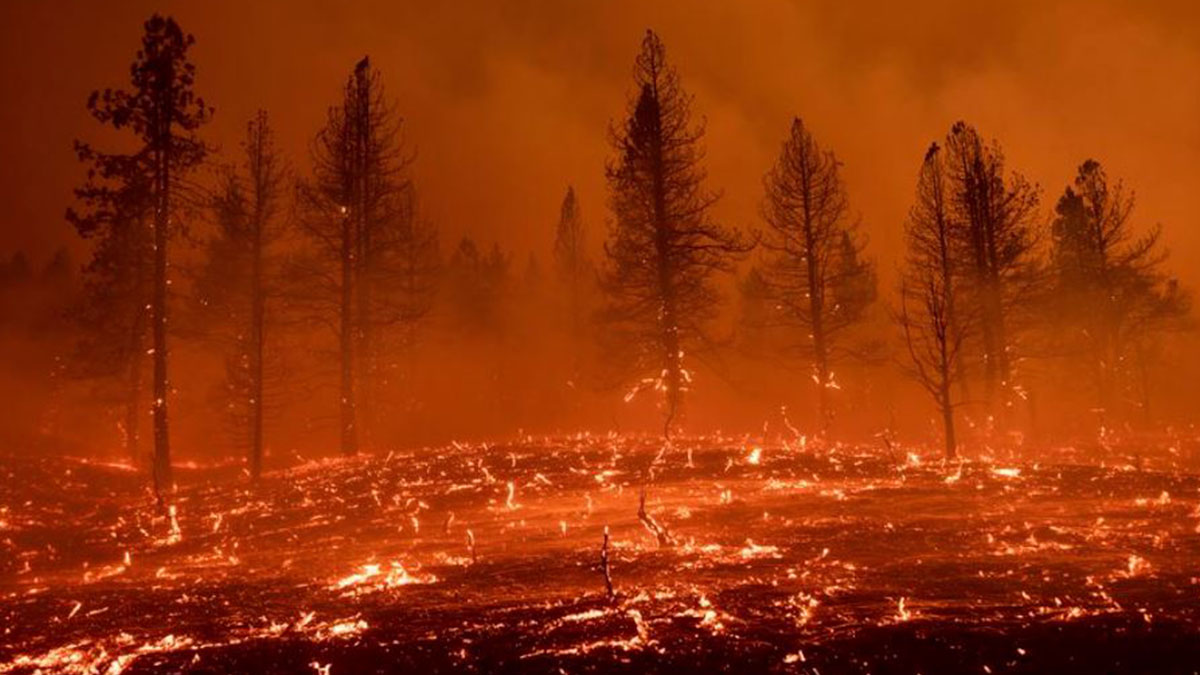 CALIFORNIA WILDFIRE ADVANCES AS HEAT WAVE BLANKETS WEST