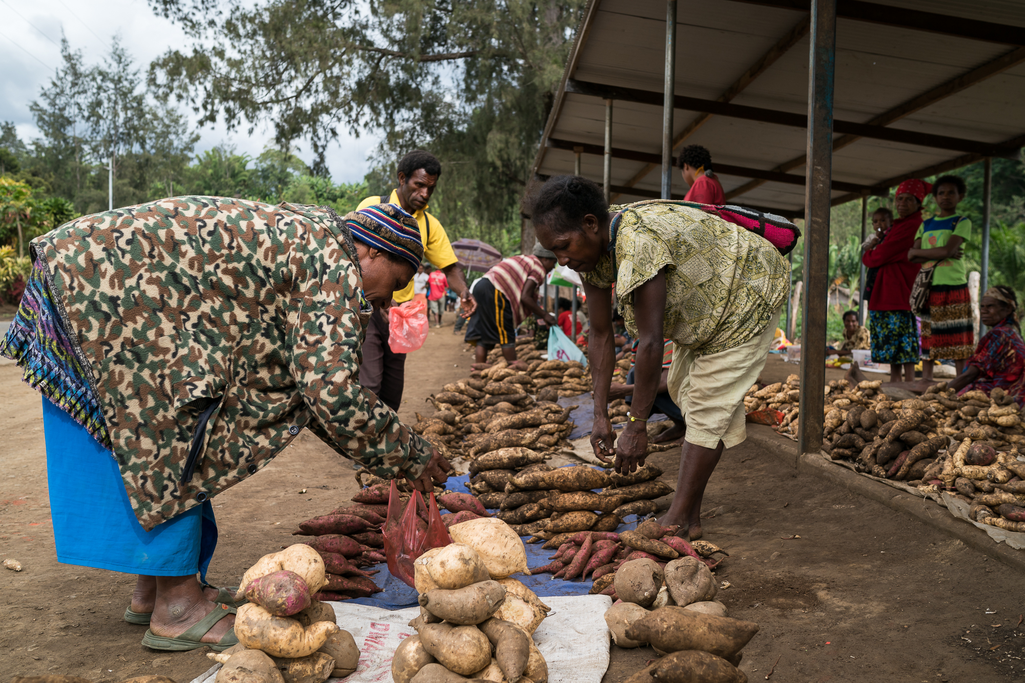 PNG SWEET POTATO FARMERS TO BENEFIT FROM ACCESS TO NEW MARKETS