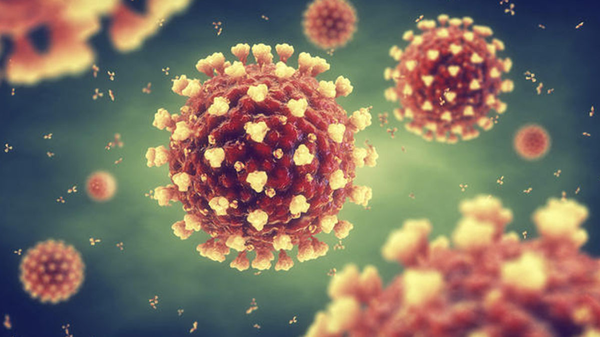 FIJI COVID-19: TWO MORE DEATHS, 241 NEW INFECTIONS