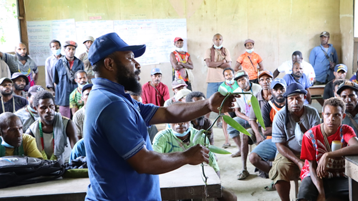 EU-STREIT PNG EXTENDED ITS TECHNICAL ASSISTANCE TO REMOTE RURAL AREAS IN WEST SEPIK PROVINCE, TRAINED 749 TRAINERS OF TRAINERS (TOTS) IN COCOA AND VANILLA CULTIVATION