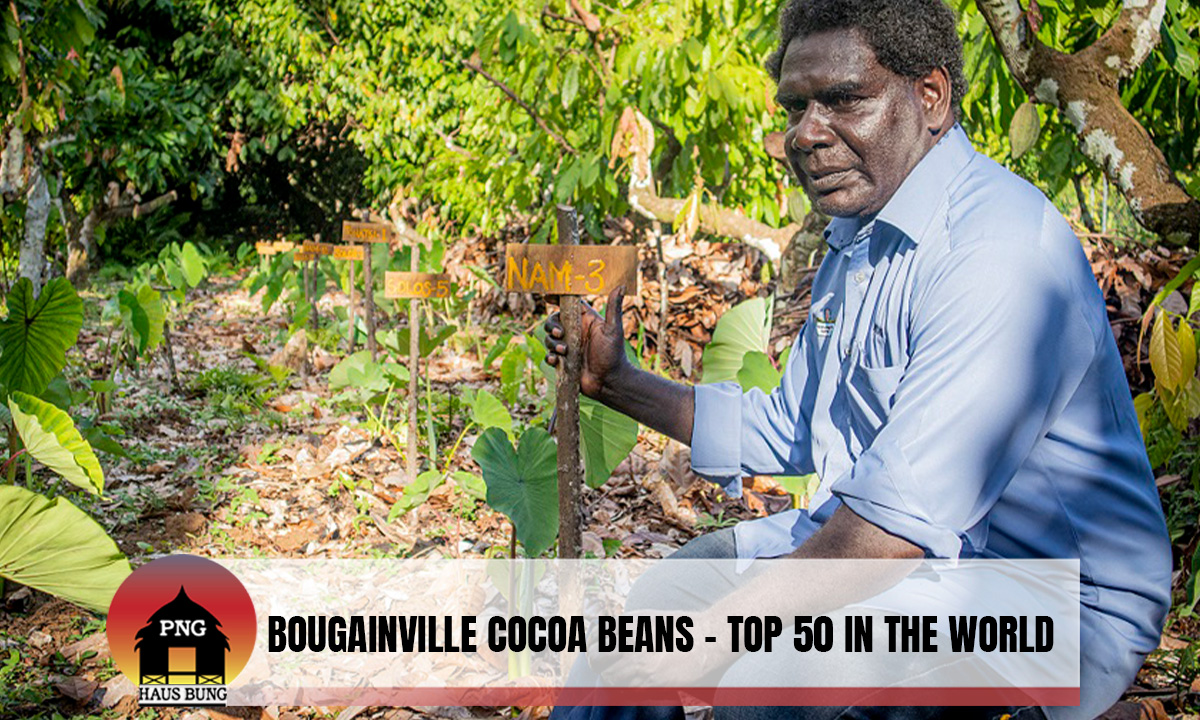 A SAMPLE OF BOUGAINVILLE COCOA BEANS HAS BEEN RECOGNISED AMONG THE TOP 50 IN THE WORLD