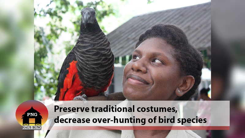 BIRD FEATHERS, ITS VALUE AND OUR CULTURAL HERITAGE