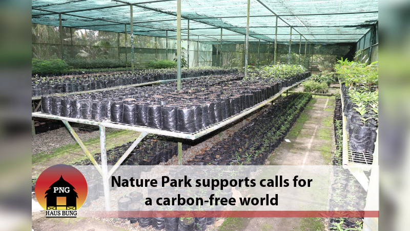 PROVIDING MORE GREEN SPACES IN THE BIG CITY