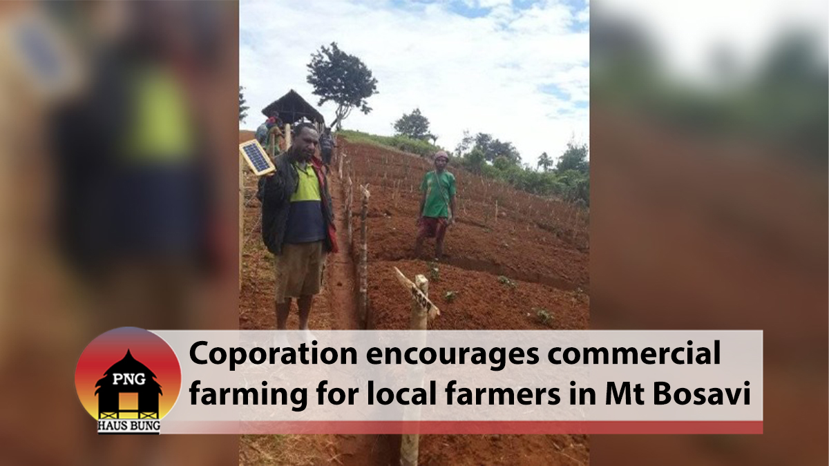 MT BOSAVI EMBRACES AGRICULTURE, HOPEFUL FOR ROAD ACCESS TO SELL PRODUCE
