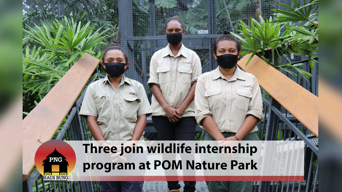 STARTING A CAREER AS A WILDLIFE CARER