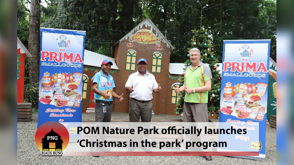 CHRISTMAS IN THE PARK EVENT BEGINS