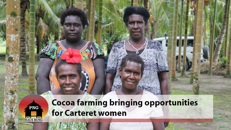 RELOCATED CARTERET WOMEN EMBRACE COCOA FARMING