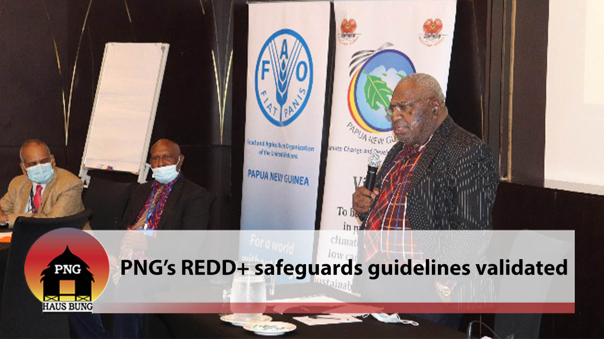 PNG’S REDD+ SAFEGUARDS GUIDELINES VALIDATED
