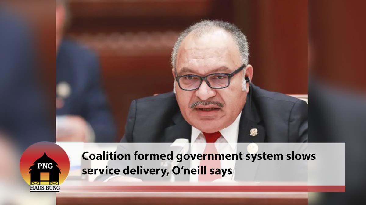 COALITION FORMED GOVERNMENT SYSTEM SLOWS SERVICE DELIVERY