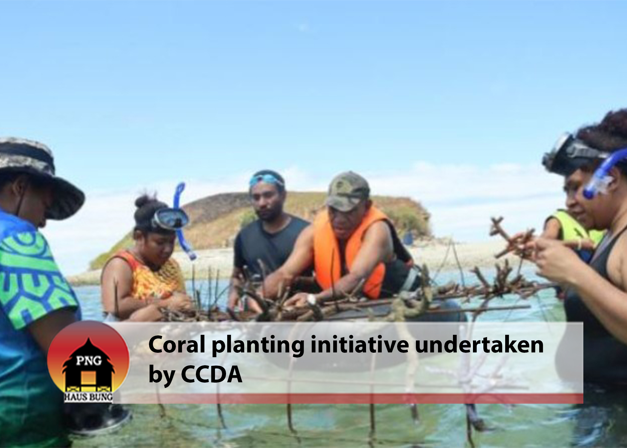 CORAL PLANTING IN BOOTLESS BAY- LION ISLAND