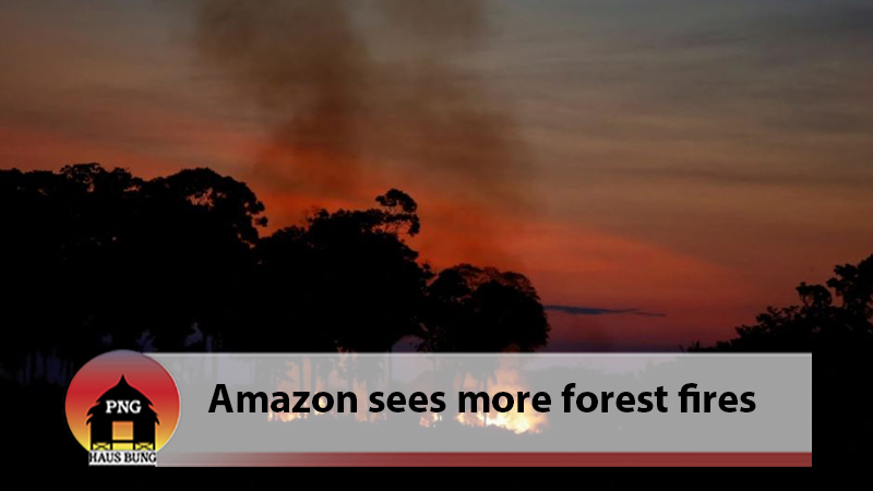 ‘TRAGEDY FORETOLD’: BRAZIL SEES SURGE IN AMAZON FIRES