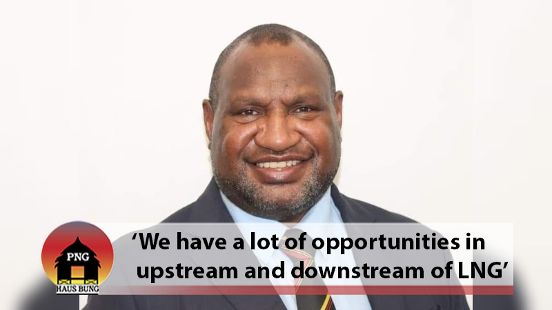 PM INVITES LNG JAPAN CORPORATION TO INVEST IN PNG'S ENERGY SECTOR