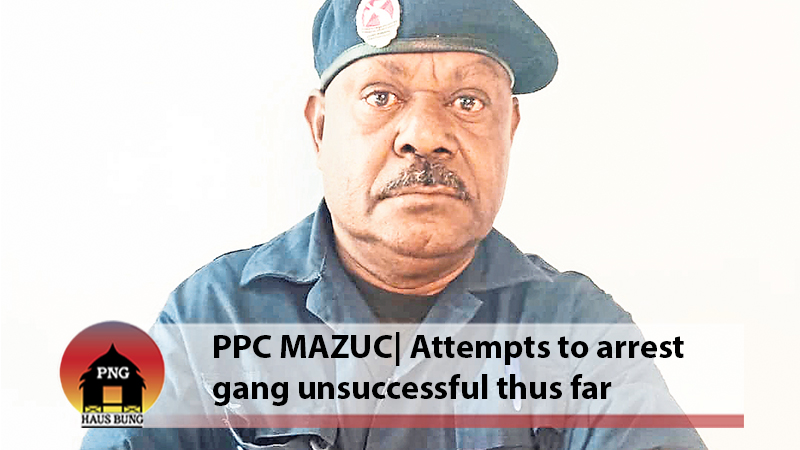 ATTEMPTS TO STOP HETWARA GANG BARRED BY TERRAIN