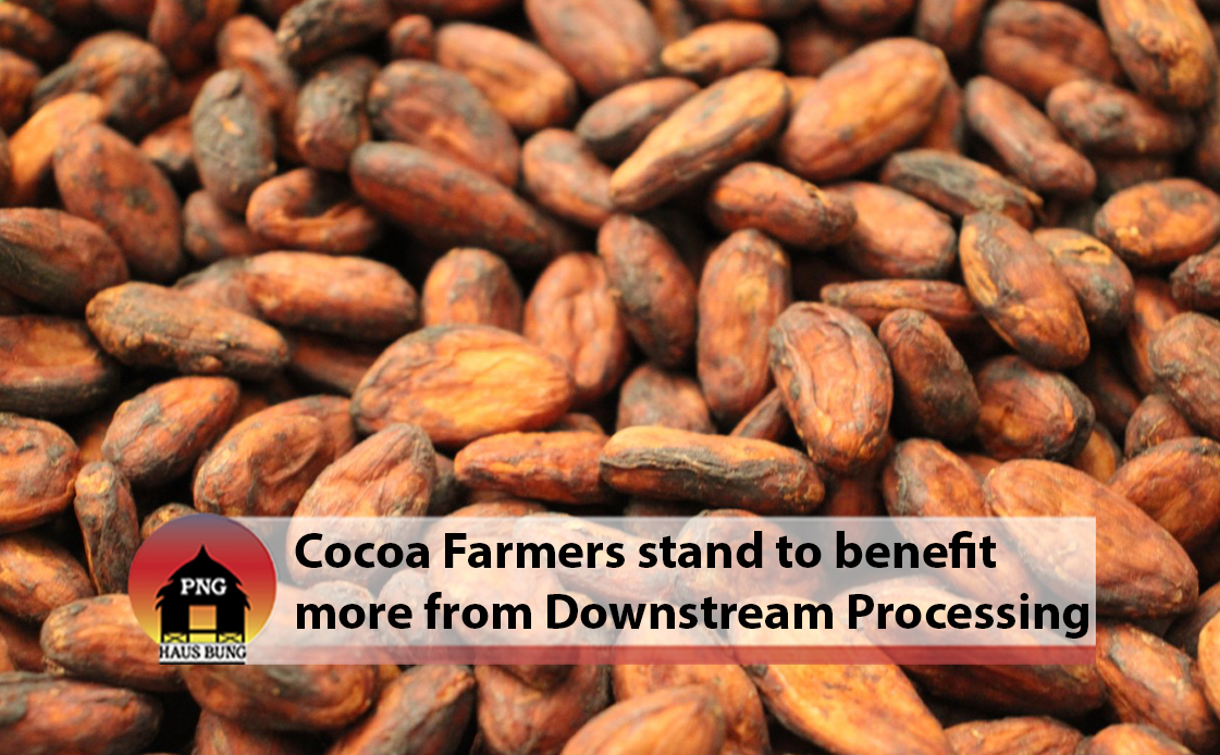 EAST SEPIK COCOA FARMERS WORK TOWARDS DOWNSTREAM PROCESSING