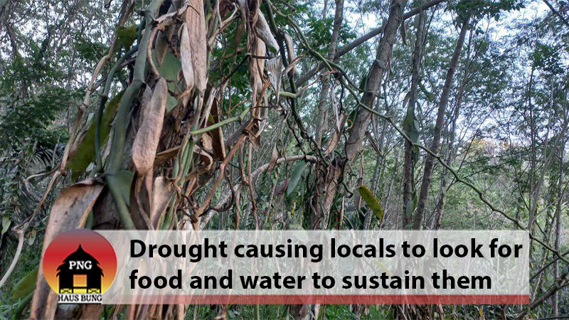 CONTINUOUS DROUGHT IN MOROBE AFFECTING CROPS