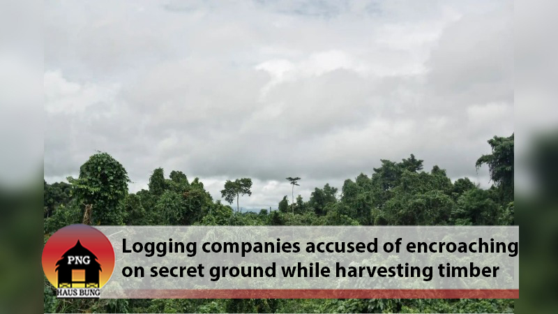FIGHTING OFF THE BULLDOZERS IN THE KWILA FORESTS OF PNG
