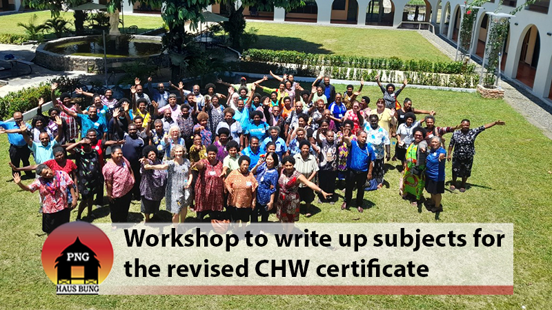 REVISION OF CURRICULUMS FOR NURSING SCHOOLS AND CHW