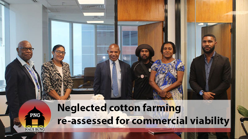 MINISTRY TO LOOK INTO COTTON FARMING