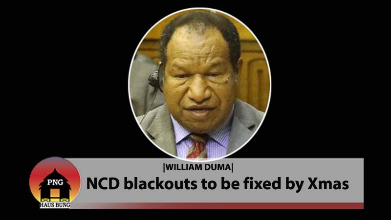 PNG POWER TO IMPROVE POWER SUPPLY TO POM RESIDENTS BEFORE CHRISTMAS