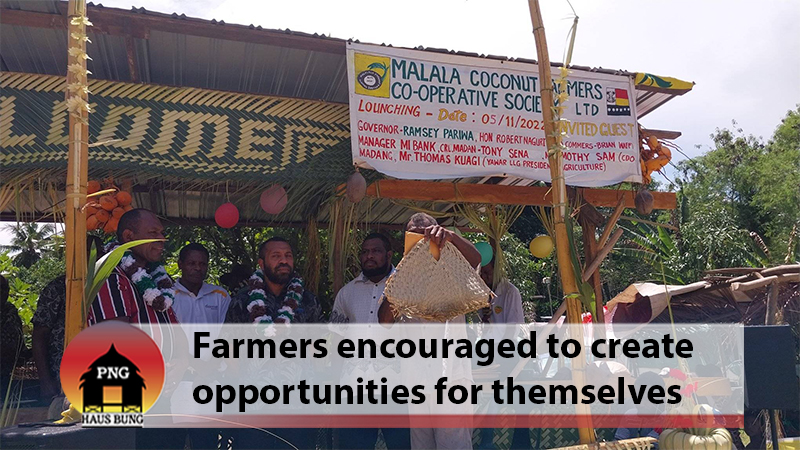 AGRICULTURE IS THE KEY TO TAKE BACK PNG: GOV PARIWA