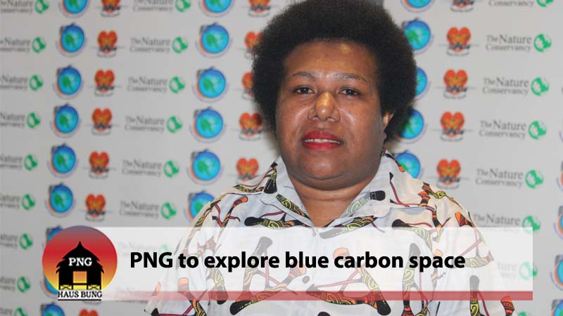 BLUE CARBON - THE NEXT BEST SOLUTION FOR GREENHOUSE GAS EMISSIONS