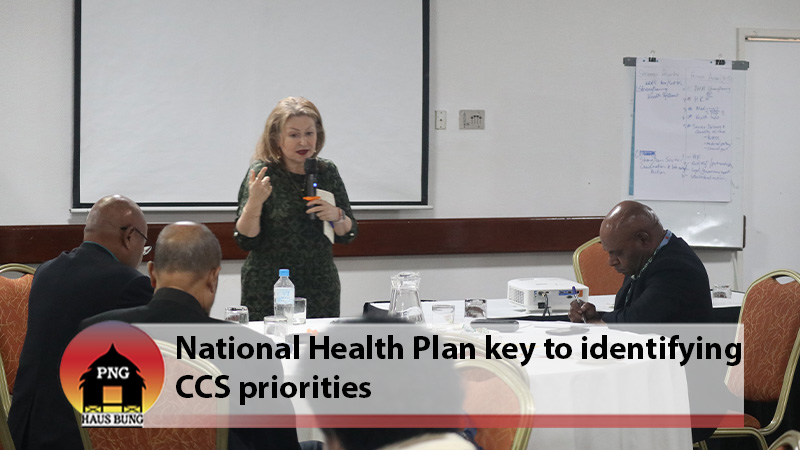 WHO HOSTS CONSULTATIVE WORKSHOP TO DEVELOP 5 YEAR CCS