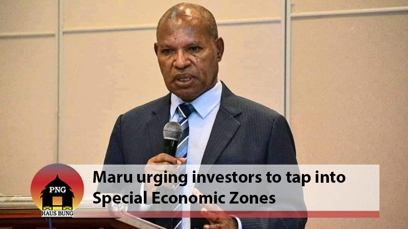  POTENTIAL INVESTMENTS IN SEZ