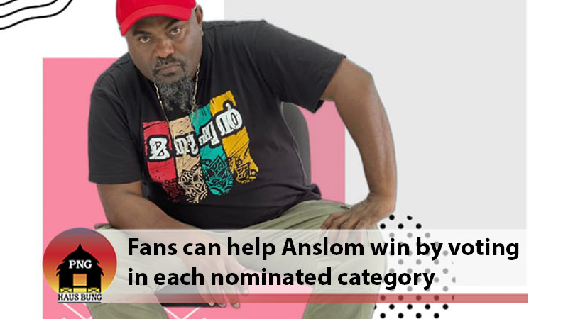ANSLOM NOMINATED FOR SEVEN INTERNATIONAL AWARDS