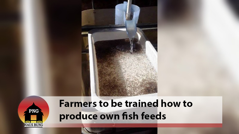 9 HATCHERY FARMERS TO RECEIVE TRAINING ON FISH HATCHLING FEEDS