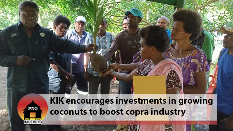 COMMUNITIES URGED TO REPLACE AGING COCONUT TREES
