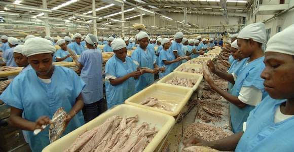 STATE & RD TUNA ENTER INTO JOINT VENTURE PARTNERSHIP