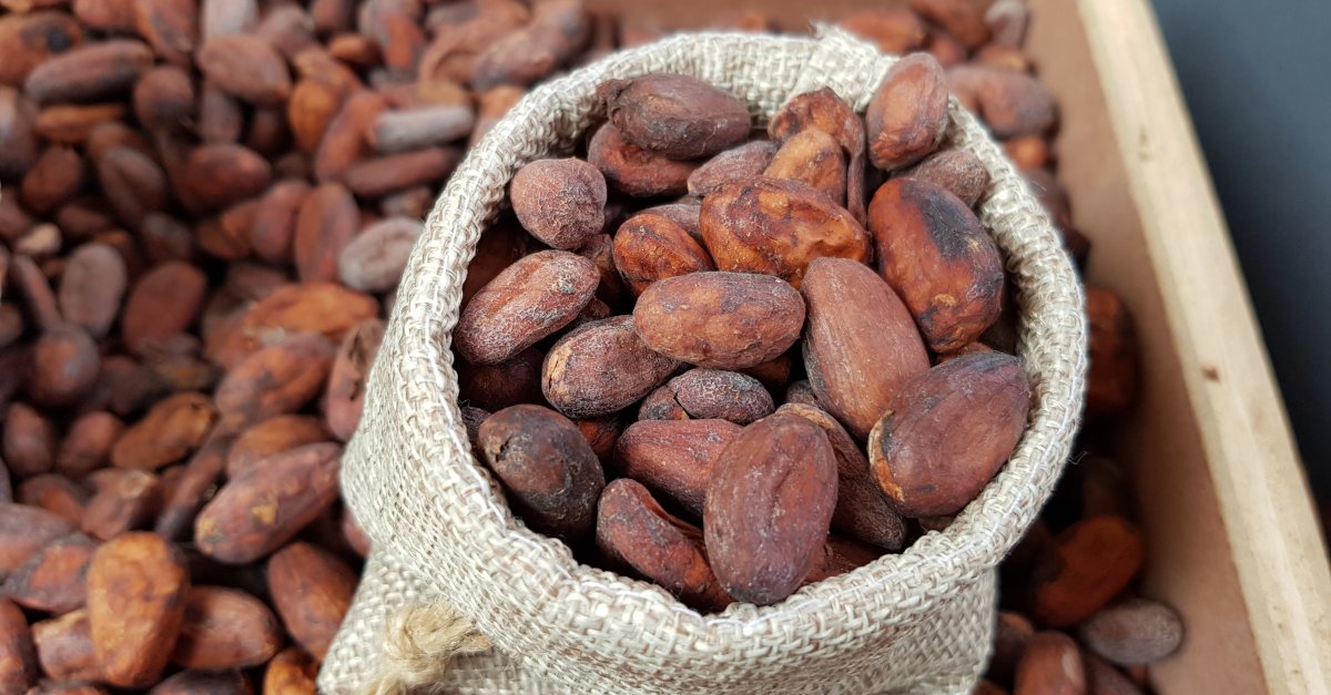 COCOA FARMERS ESTABLISH BUSINESS WITH PREMIUM MARKETS