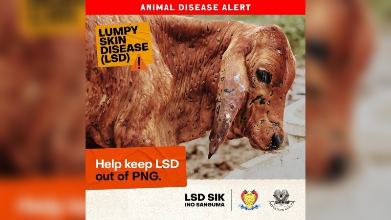 NAQIA BIOSECURITY AWARENESS ON LSD AND FMD