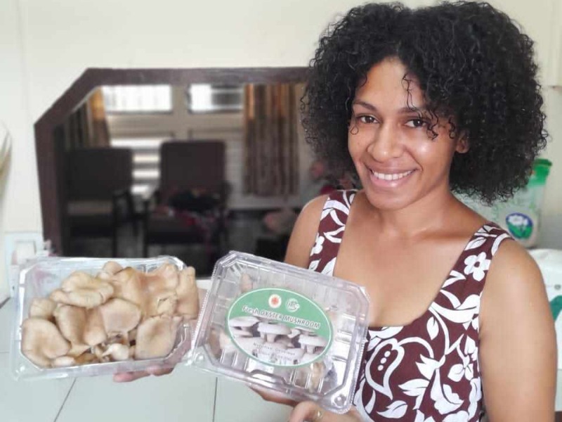 JUN’CAO OYSTER MUSHROOMS ON THE MARKET IN PNG