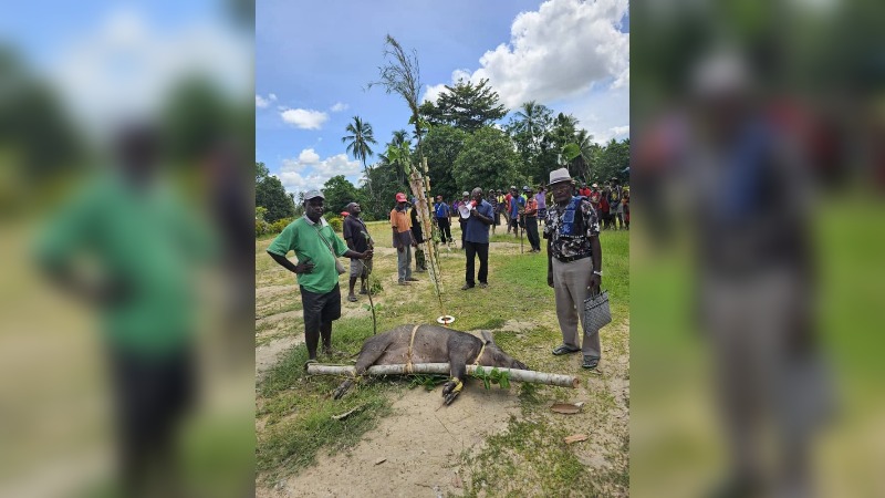 CONSTRUCTION OF BARARAT BRIDGE TO START