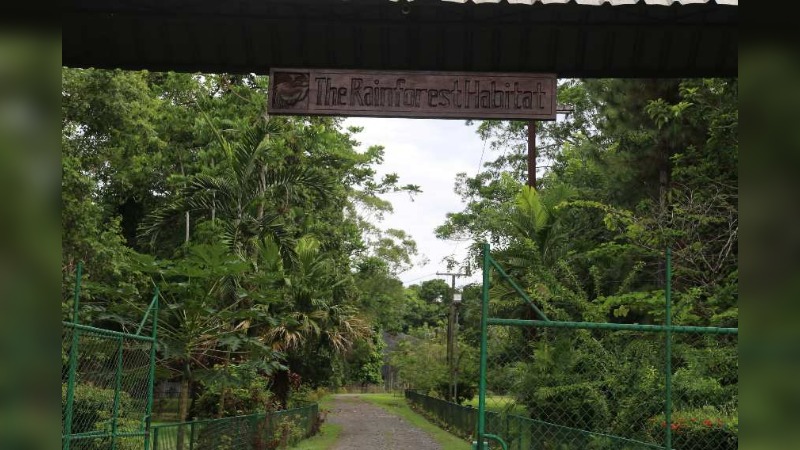 UNITECH RAINFOREST HABITAT A THRIVING ECO-TOURISM HAVEN