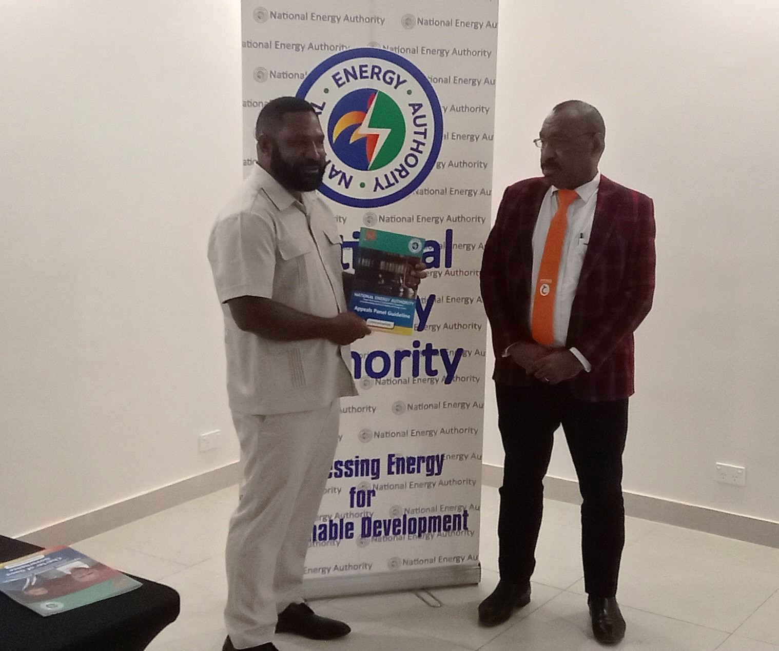 NEA LAUNCHES ITS APPEALS PANEL