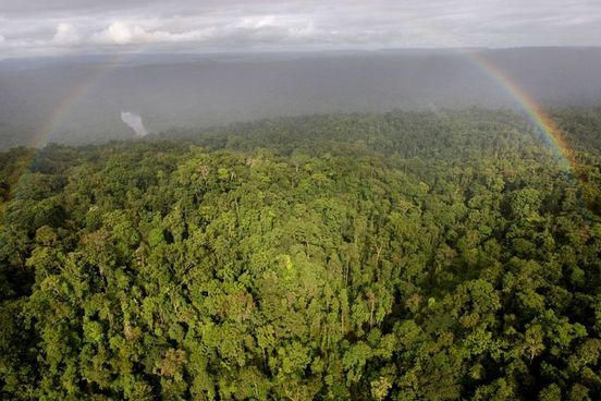 MARAPE TELLS BBC WORLD NEWS WHY PNG BOYCOTTS COP29