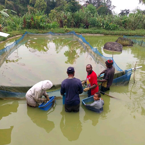 FISH FARMING TOP ECONOMIC ACTIVITY IN HIGHLANDS REGION