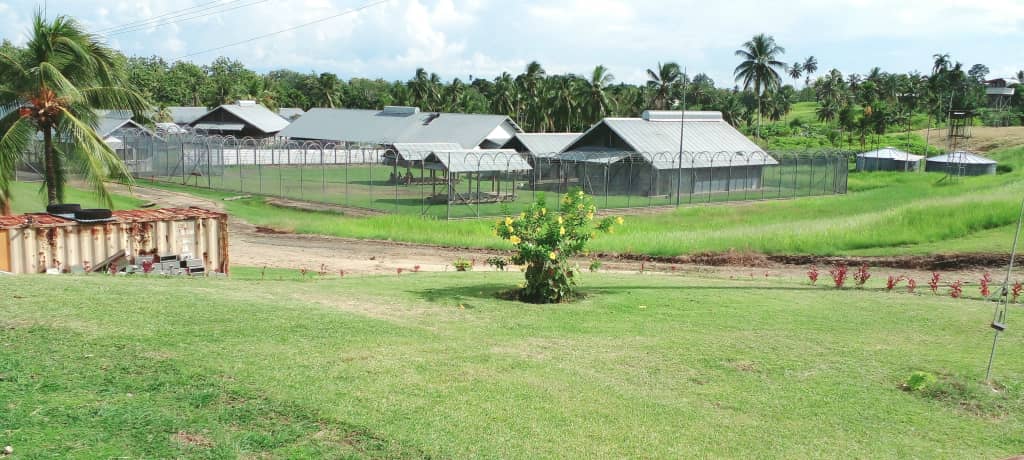 FEMALE DETAINEE ESCAPES BEON PRISON