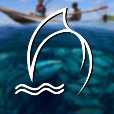 THE NFA LAUNCHES FARIS