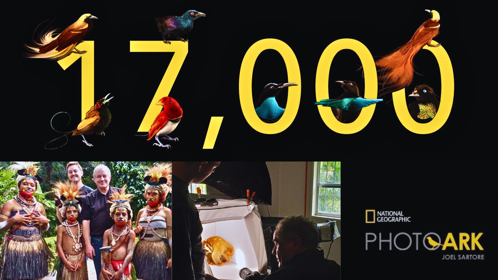 PNG NATURE PARK CELEBRATES 17,000th SPECIES MILESTONE