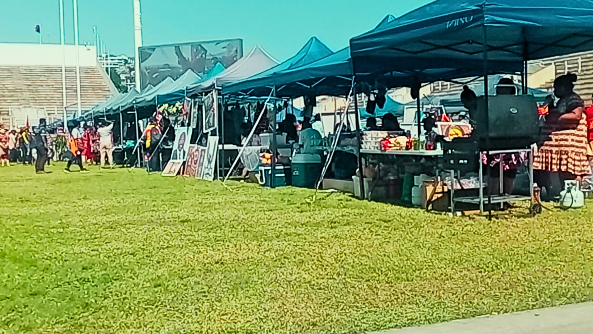 OVER 40 ACTIVE STALLS IN HIGHLANDS REGION | AMAZING POM CELEB