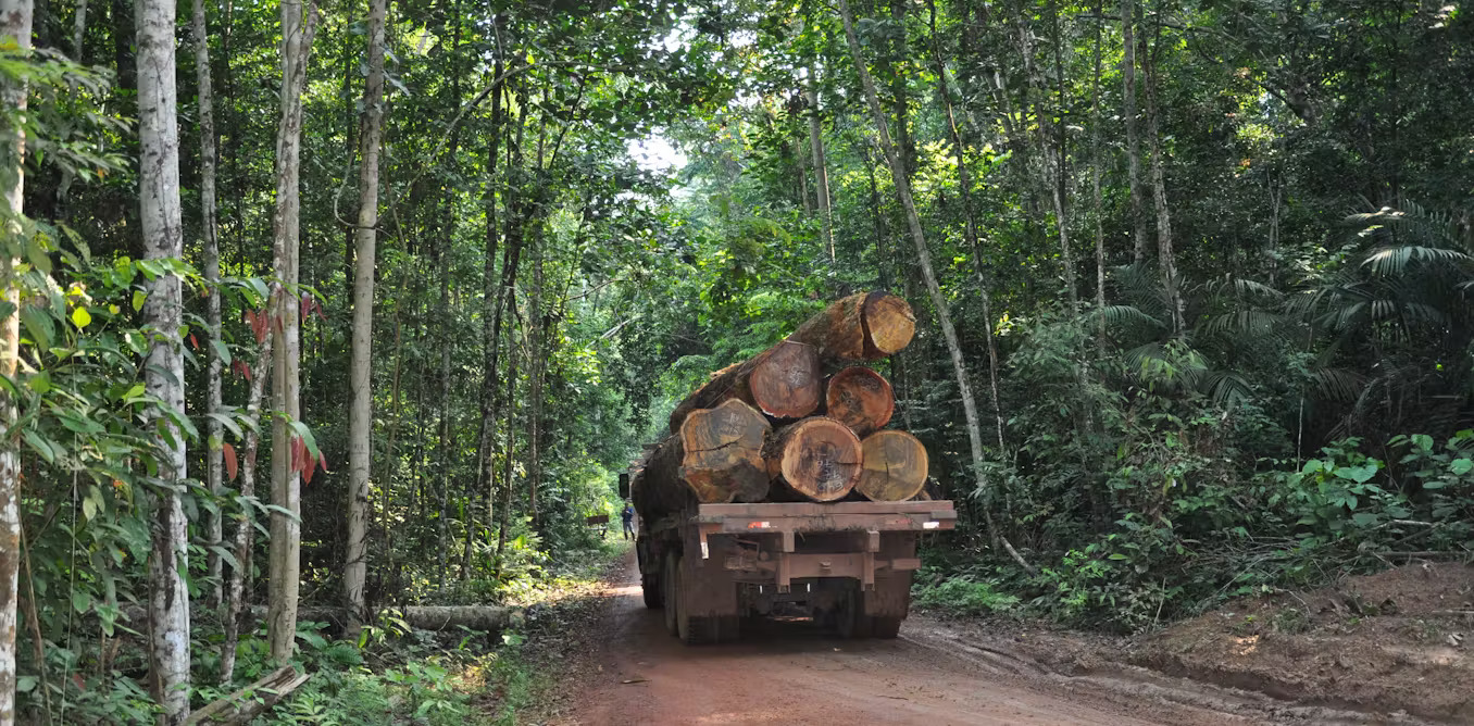 ACT NOW! SLAMS PM’S FORESTRY PLEDGE AS ‘EMPTY GESTURE’