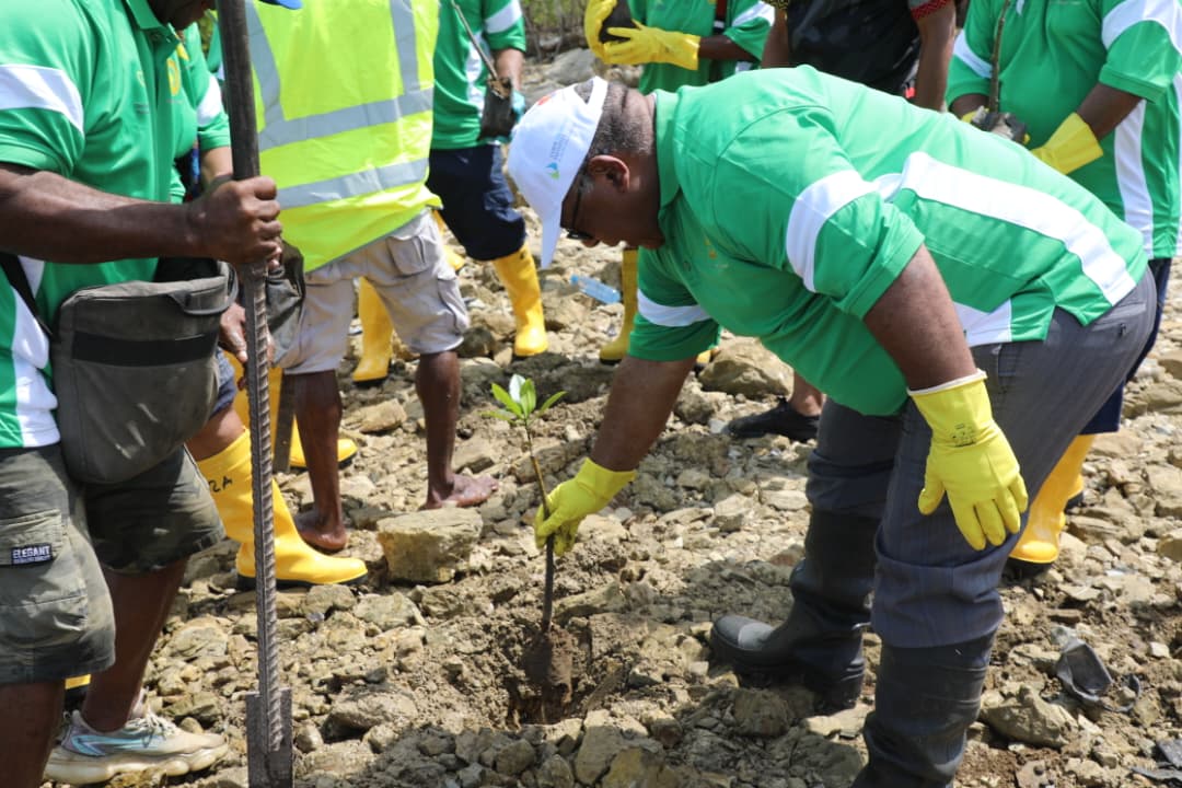 PM'S DEPARTMENT LAUNCHES AMBITIOUS MANGROVE INITIATIVE