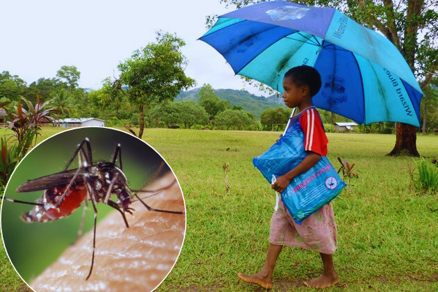 NCD SEES AN INCREASE IN DENGUE & MALARIA CASES