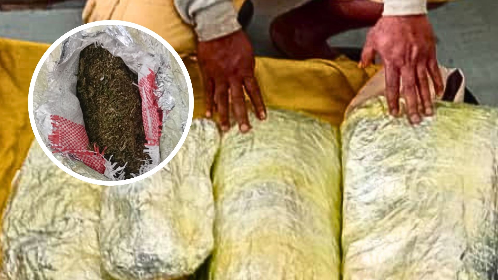 AIRPORT SECURITY STOPS 20 KILOGRAMS OF MARIJUANA AT JACKSONS AIRPORT