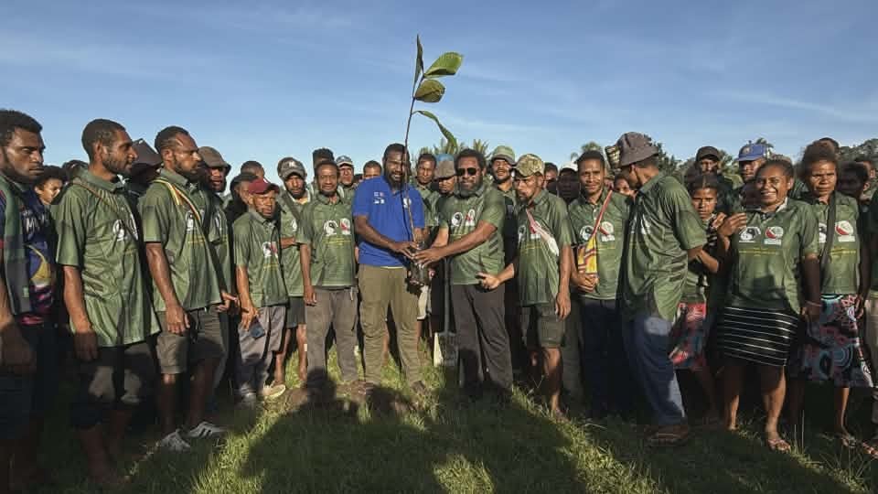 MANAGALAS CONSERVATION FOUNDATION PLANTS TREE SEEDLINGS ON WORLD ENVIRONMENT DAY